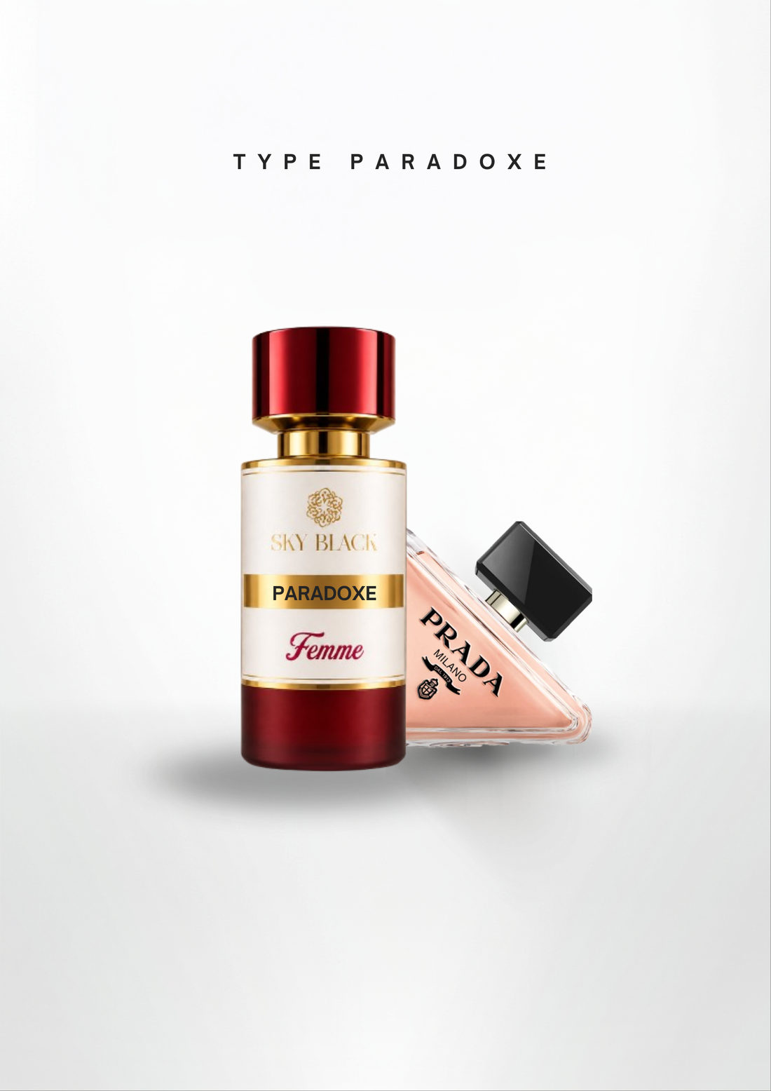 TYPE PARADOXE